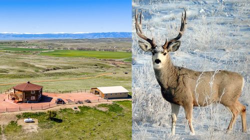 593 Lower Prairie Dog Rd, Sheridan, WY, 82801-9658 | Card Image