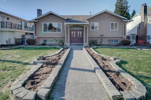 {{alt}} | Card Image