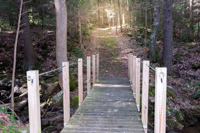14 - 292 Log Cabin Ln, House other with 3 bedrooms, 2 bathrooms and 2 parking in Dunlap TN | Image 67