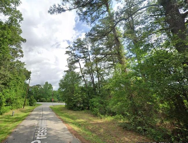 0 N Fm 3083 Rd W, Home with 0 bedrooms, 0 bathrooms and null parking in Conroe TX | Image 16