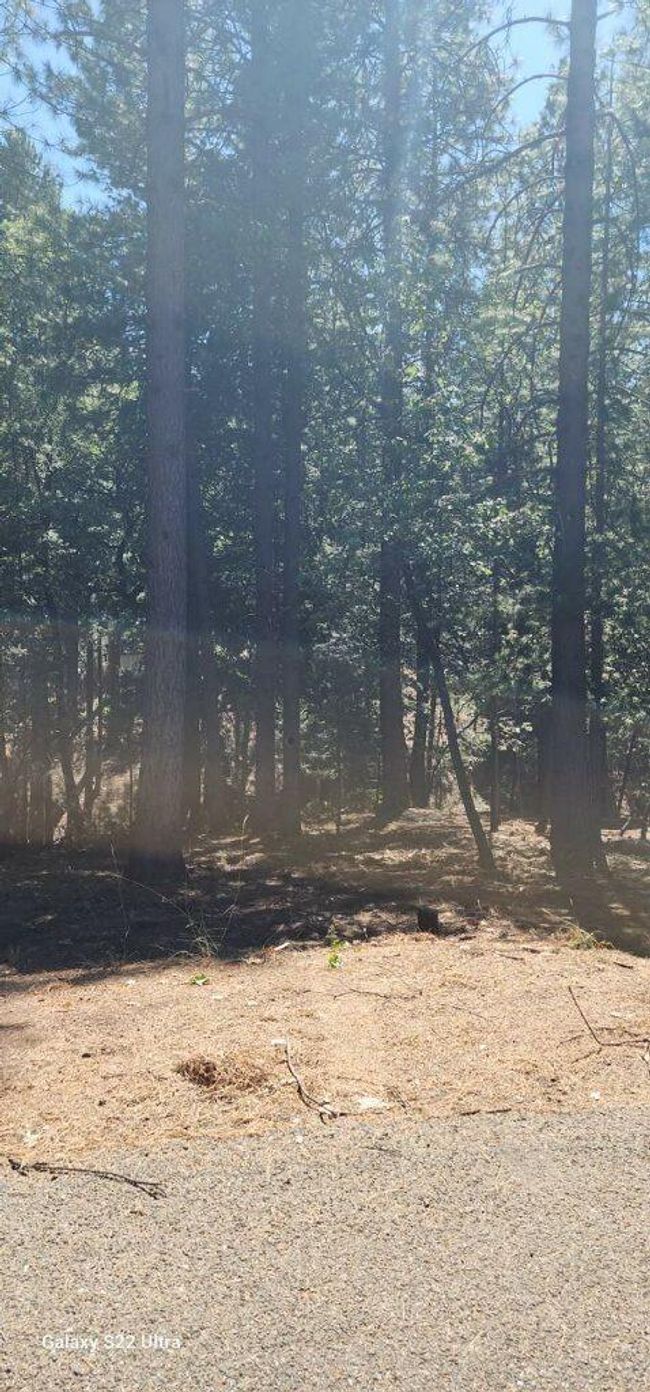 5701 Lupin Lane, Home with 0 bedrooms, 0 bathrooms and null parking in Pollock Pines CA | Image 16