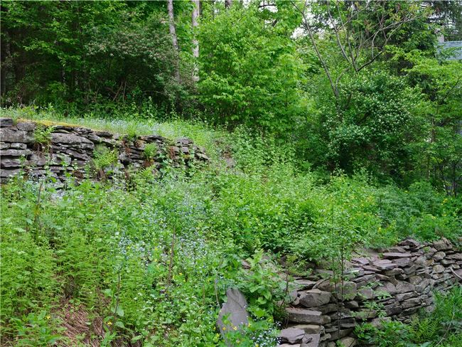 36 Pinetree Ln, House other with 4 bedrooms, 2 bathrooms and null parking in Fleischmanns NY | Image 37