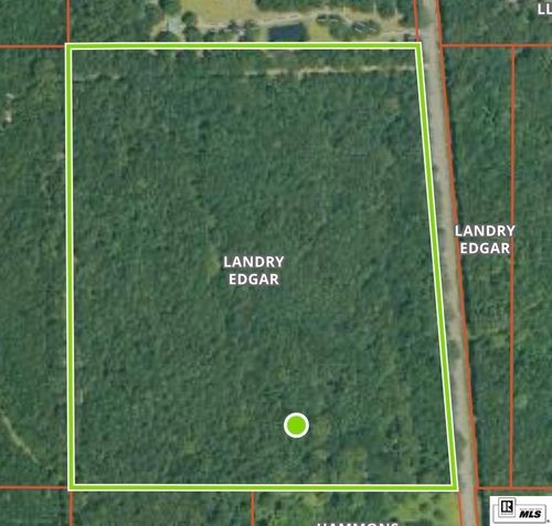 000 Lincoln Rd, Monroe, LA, 71203 | Card Image