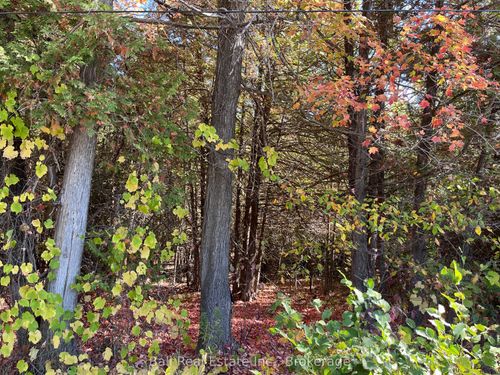 0 Koa Road, Marmora and Lake, ON, K0K2M0 | Card Image