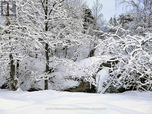 384 Big Crosby Lake Rd, Westport, ON, K0G1X0 | Card Image