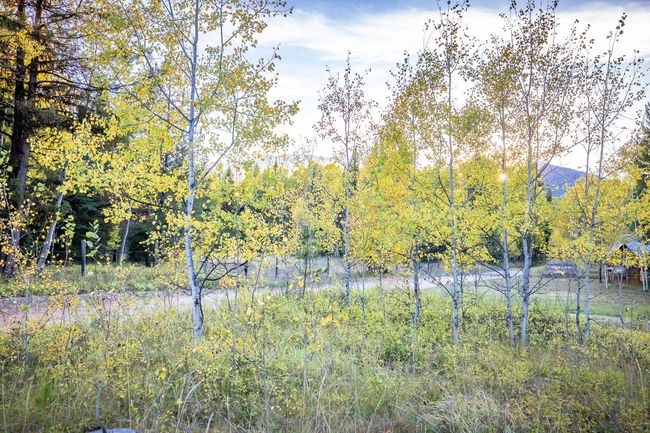 345 River Dr, House other with 2 bedrooms, 1 bathrooms and null parking in Polebridge MT | Image 23