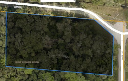 31699 Niles St, Mount Plymouth, FL, 32776-8906 | Card Image
