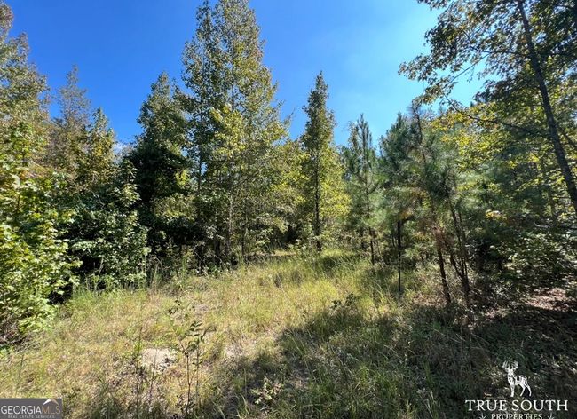 0 John S Horton Rd, Home with 0 bedrooms, 0 bathrooms and null parking in Adrian GA | Image 5