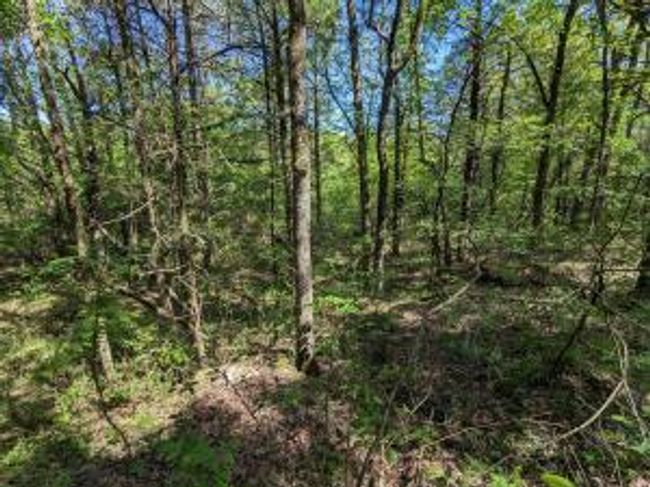 27B & 28B Shelby Lane, Home with 0 bedrooms, 0 bathrooms and null parking in Cecil AR | Image 5