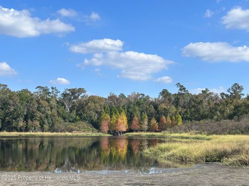 d67-2092 Culbreath Rd, BROOKSVILLE, FL, 34602-6121 | Card Image