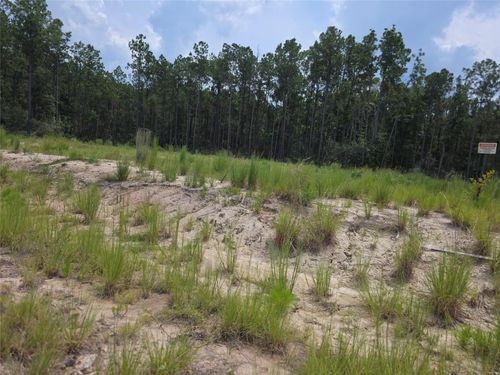 135 Rayburn Reserve Dr, Brookeland, TX, 75931 | Card Image