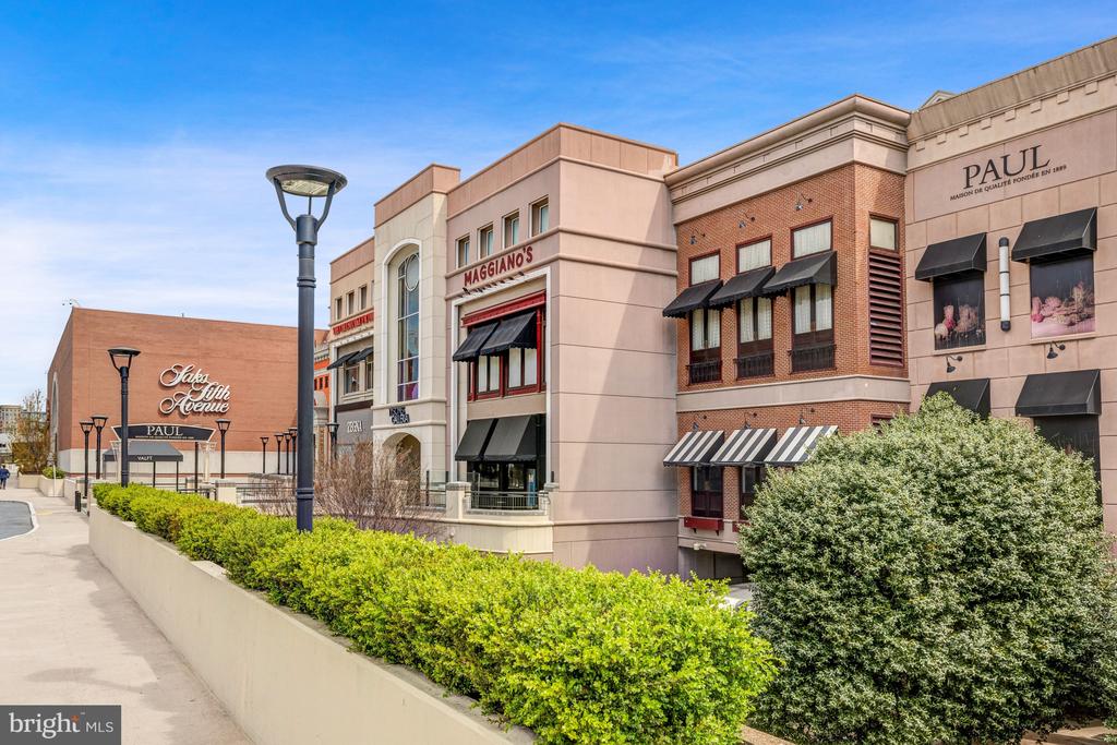 Residential in MCLEAN 5