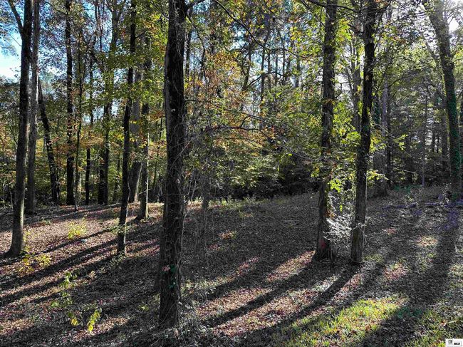 1411 Caney Ln, House other with 3 bedrooms, 2 bathrooms and null parking in Ruston LA | Image 4