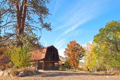 Charming cabin could be rennovated, or live in it while you build a home in one of the other lovely spots on the property and then turn it into a bunkhouse! | Image 1