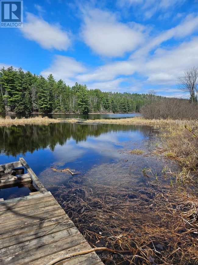 61 River Lane, House other with 4 bedrooms, 1 bathrooms and 6 parking in South Algonquin ON | Image 7
