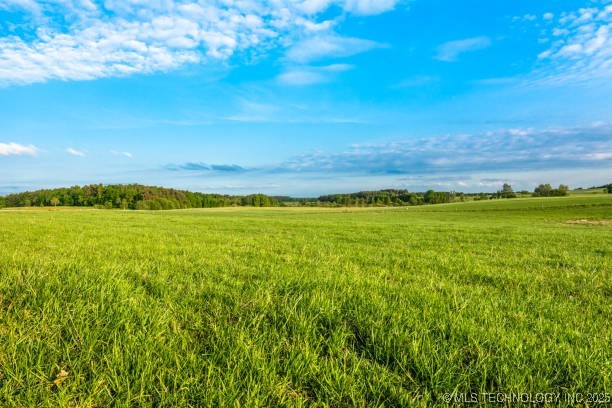 Land in Wilson 5