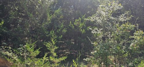 0000 Bootleg, Gore, OK, 74435 | Card Image