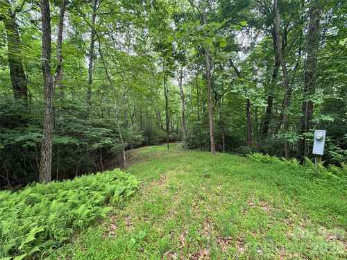 000 Chestnut Oak Lane, Pisgah Forest, NC, 28768 | Card Image