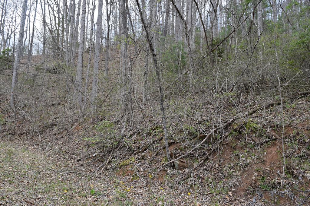 Land in Cullowhee