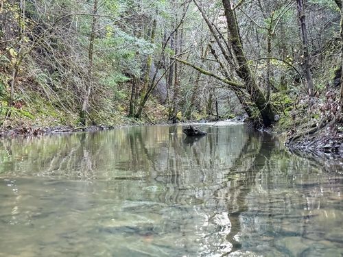 5200 Briceland Thorn Rd, Redway, CA, 95560 | Card Image