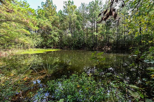 0 Highway 105, Home with 0 bedrooms, 0 bathrooms and null parking in Hull TX | Image 16