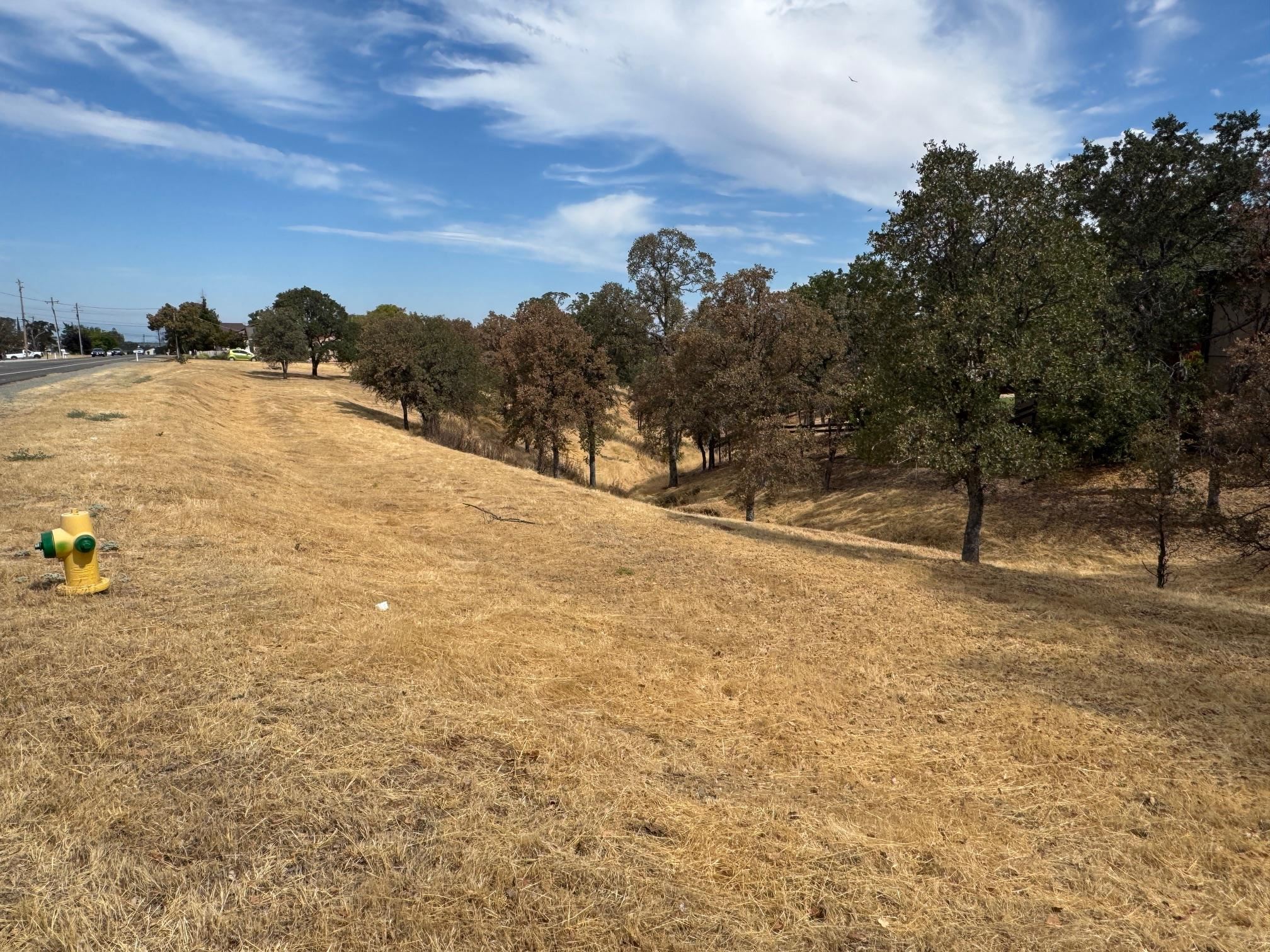 Land in Cottonwood 3