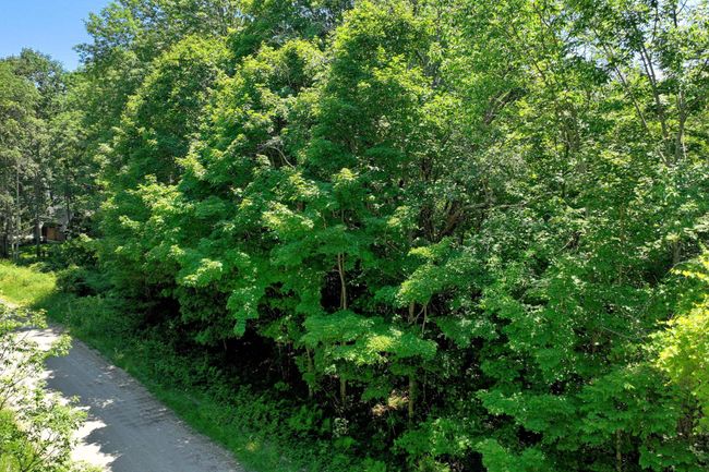 14 Osprey Run, Home with 0 bedrooms, 0 bathrooms and null parking in Rochester VT | Image 8