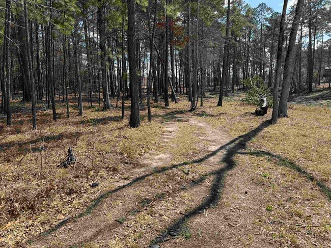 TRACT-1-24 - 024 Private Road 6028, Home with 0 bedrooms, 0 bathrooms and null parking in Brookeland TX | Image 10