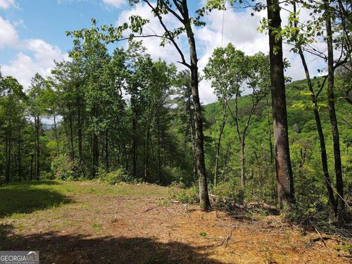 9.6 AC Ralston Creek Trail, Ellijay, GA, 30536 | Card Image