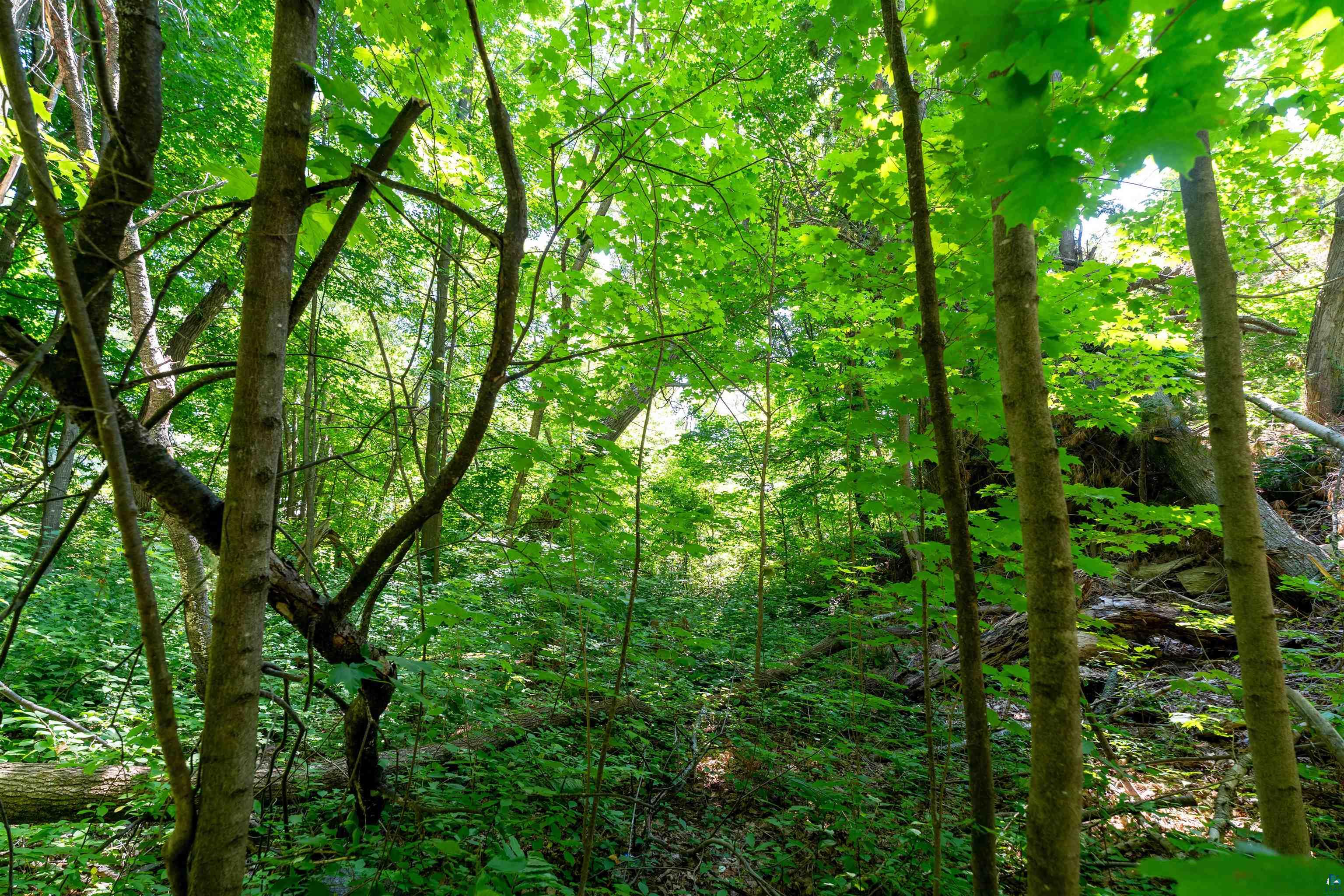 Land in Bayfield 5