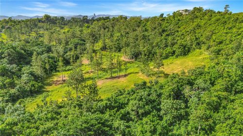 63 Sector Monticello, Cidra, PR, 00739 | Card Image