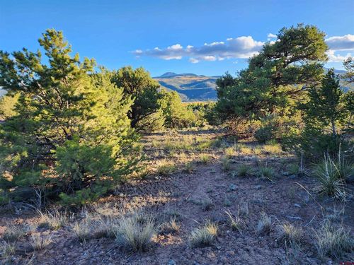 580 Kit Carson Rd, South Fork, CO, 81154 | Card Image
