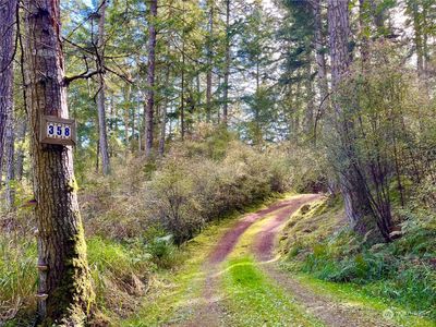 358 Shaner Armstrong Lane, House other with 1 bedrooms, 2 bathrooms and 1 parking in Orcas Island WA | Image 2