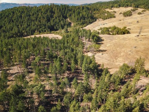 +/-80acre Bluff Creek Road, Kettenpom, CA, 95595 | Card Image