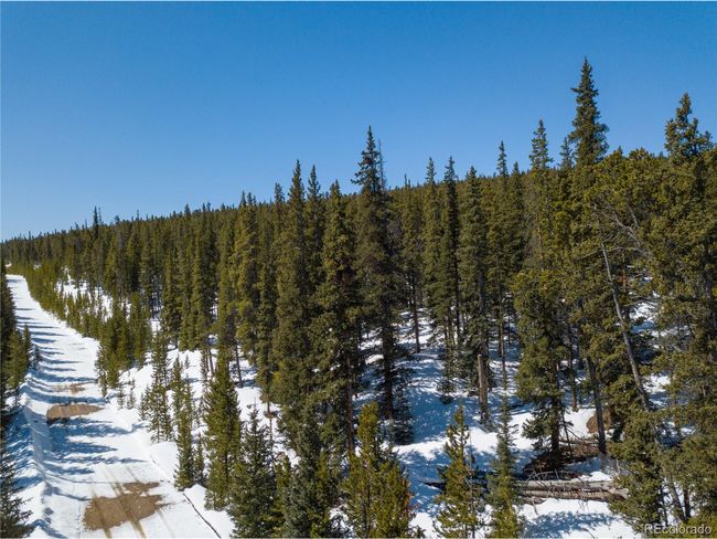 676 Dry Gulch Rd, Home with 0 bedrooms, 0 bathrooms and null parking in Fairplay CO | Image 33