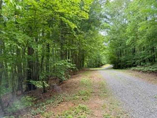 00 Woodsong Haven Ln, Home with 0 bedrooms, 0 bathrooms and null parking in Turtletown TN | Image 11