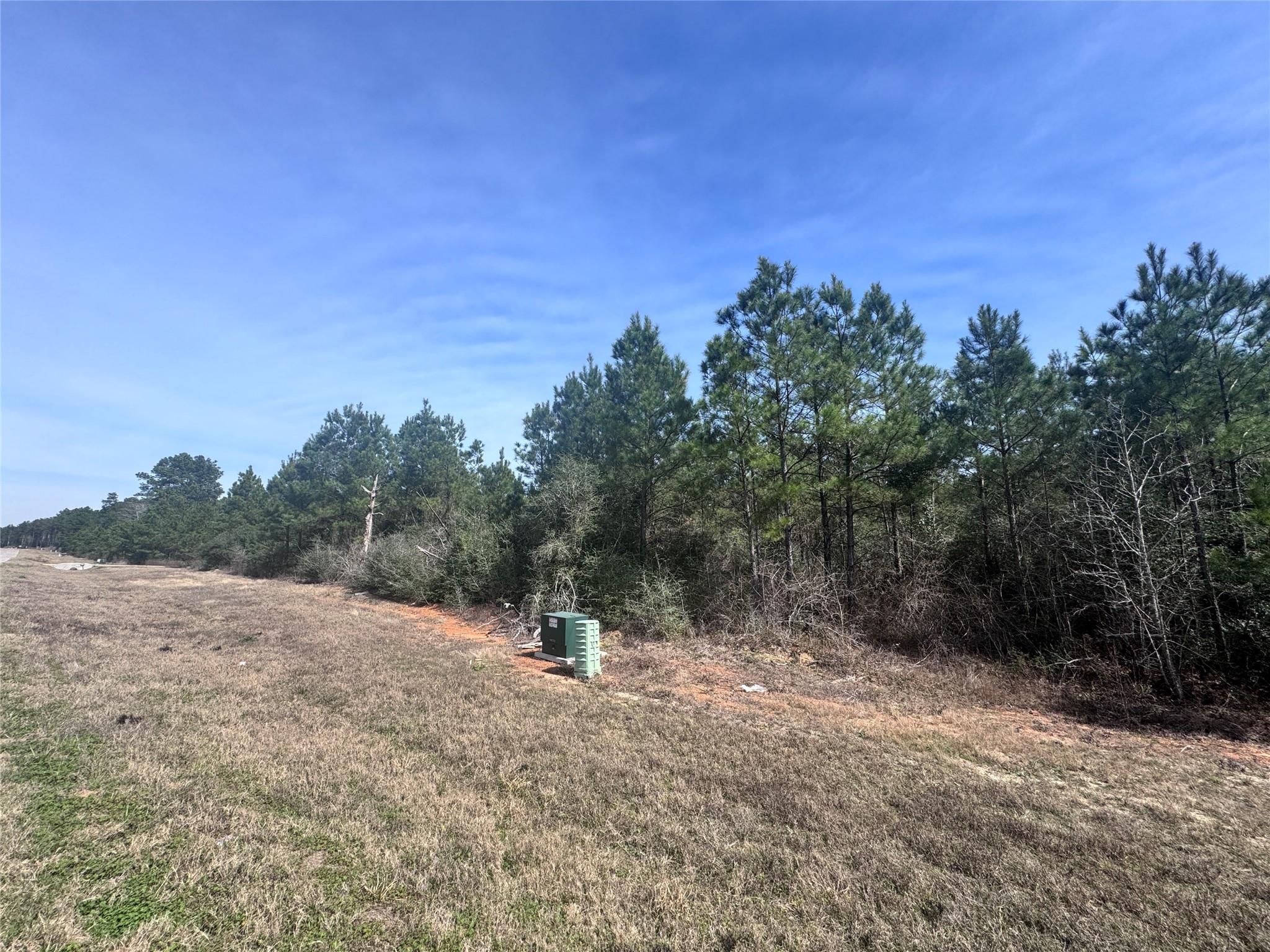 Land in Willis 5