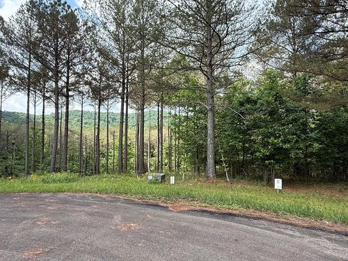 Lot 9 Eastview Trl, Ellijay, GA, 30536 | Card Image
