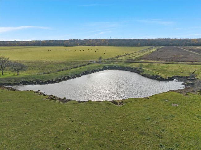 1170 Lumkins Rd, Home with 6 bedrooms, 7 bathrooms and null parking in Forreston TX | Image 40
