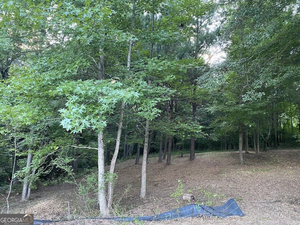 Land in Winder 5