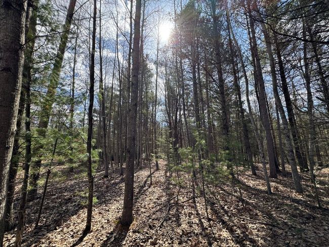 4233 Hardacre Trl, Home with 0 bedrooms, 0 bathrooms and null parking in Houghton Lake MI | Image 9