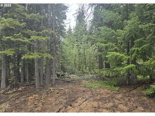 4 Royce Pine Rd, Crescent, OR, 97733 | Card Image