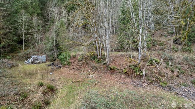 7801 Tolt River Rd Ne, Home with 0 bedrooms, 0 bathrooms and null parking in Carnation WA | Image 21