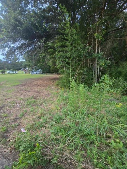 TBD Texas Forest Trl, Daingerfield, TX, 75638 | Card Image