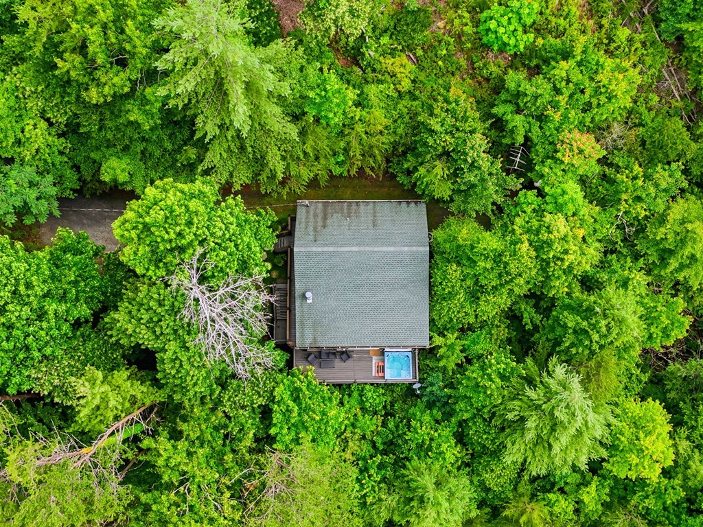Residential in Blue Ridge 2