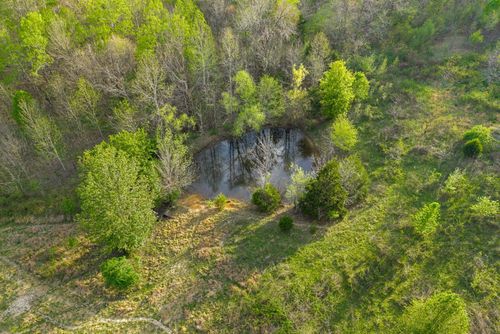 2 Bud Parker Ln, Erin, TN, 37061-6614 | Card Image
