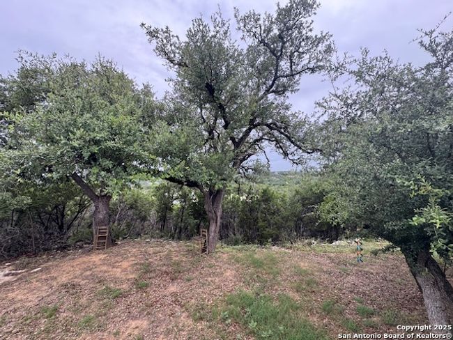 833 Cimarron, House other with 3 bedrooms, 2 bathrooms and null parking in Spring Branch TX | Image 14