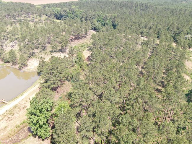 507 Js Mcleod Jr Way, House other with 6 bedrooms, 4 bathrooms and null parking in Blakely GA | Image 106