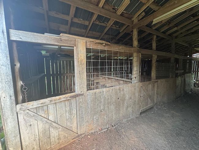 33.64 ac Davis Rd, Home with 0 bedrooms, 0 bathrooms and null parking in Livingston TN | Image 18