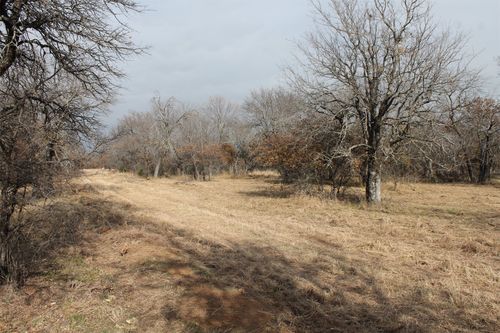 Lot 203 Ridgeline Dr, Chico, TX, 76431-2052 | Card Image